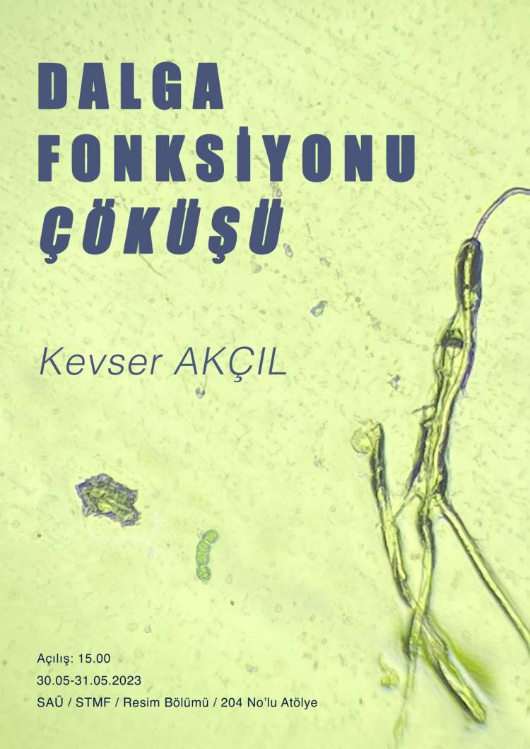 Arş. Gör. Kevser Akçıl'ın 